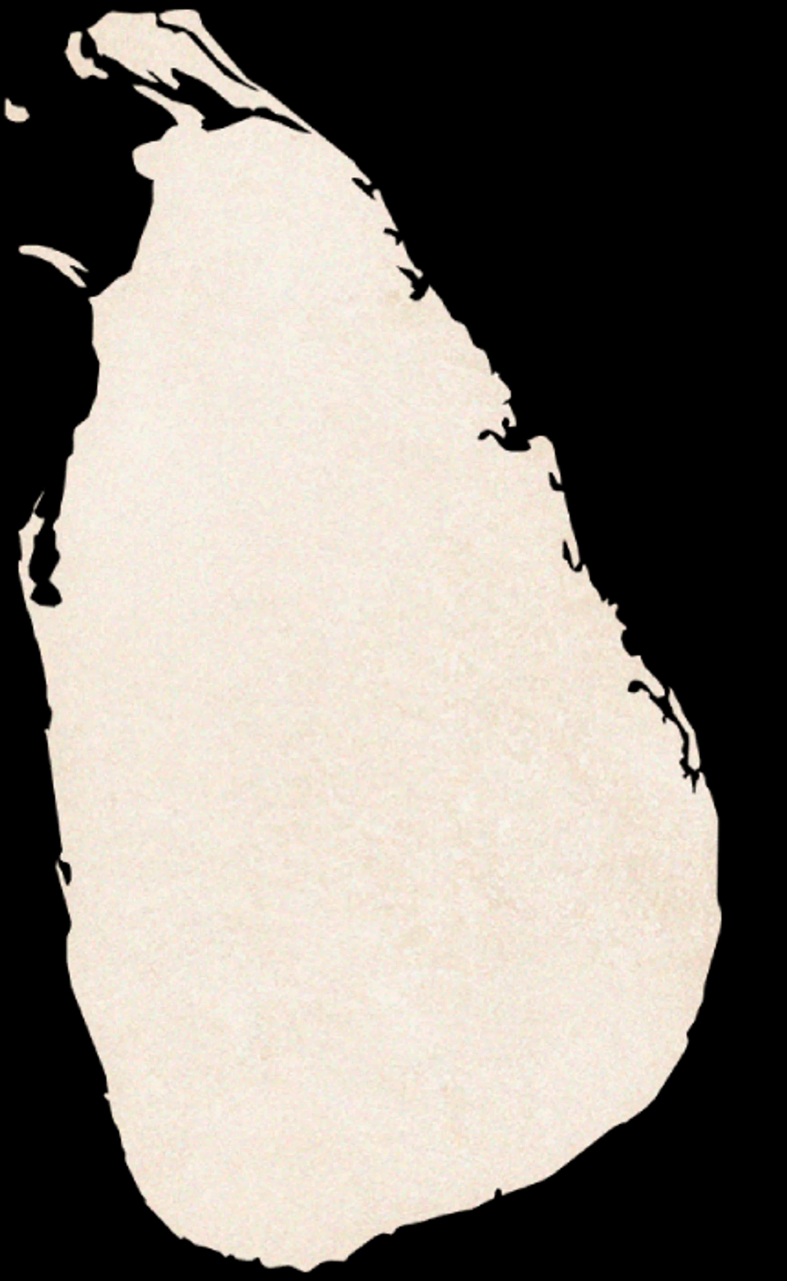 Map of Sri Lanka with all six Serendipity retreats pinned